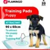 Flamingo Trainingsmat Pady L 20st Lokstof 90x60cm -Hondenbenodigdheden Korting 02ffe362b04a03551d74b41e849ae688cb6cfcaab8dc2c6b516cb8870e3a0587
