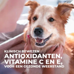 Hill's Science Plan Culinary Creations Eend En Aardappel Medium Hond 14kg 16 Hill's Science Plan Culinary Creations Eend En Aardappel Medium Hond 14kg -Hondenbenodigdheden Korting 052742054735 7 NL 1