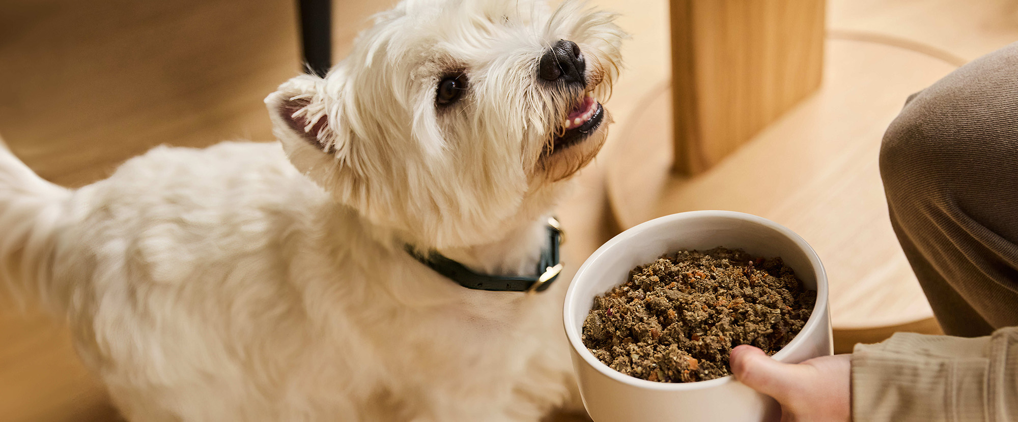 Hondenbenodigdheden Korting -Hondenbenodigdheden Korting 1