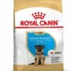 Royal Canin German Shepherd/Duitse Herder Puppy - Hondenvoer - 12kg -Hondenbenodigdheden Korting 15f0b65365ea9ca1751fbd0770c5ed6e0a30ee670d6f66303e9f0f6656913936