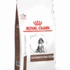 Royal Canin Gastro Intestinal Junior - Hondenvoer - 10kg -Hondenbenodigdheden Korting 1bb5230cc5f95fbdaa8e5d8e0a5c849c13a981ec605d5d2ad37823d4c3a8926c
