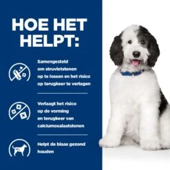 Hill's Prescription Diet C/D Multicare Kip- En Groentenstoofpotje Voor Hond 24x156g -Hondenbenodigdheden Korting 52742047317 3 NL