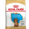 Royal Canin Dachshund Puppy Hond 1,5kg -Hondenbenodigdheden Korting 5d31795dc8b51e5dc737c45a2345c4a271457a2a229fd6cc7964bef915b0f835