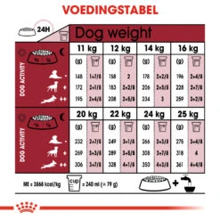 Royal Canin Medium Ageing 10+ Hondenvoer 10x 140g 6 Royal Canin Medium Ageing 10+ Hondenvoer 10x 140g -Hondenbenodigdheden Korting 658cd0070fe8656d49127926637c4755119021204d9a36ef53ccdb1c5650d350