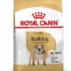 Royal Canin English Bulldog Adult - Hondenvoer - 12kg -Hondenbenodigdheden Korting 8c8c78d87b1d0bf11c750e1bba46513449c30176d2b658c17c574dd6e8e23fc6