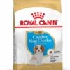 Royal Canin Cavalier King Charles Puppy 1,5 Kg -Hondenbenodigdheden Korting 8efc225f9d7afdabee98626209e68badf39ac3f22f2368f9050efd16d02f32cb