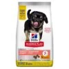 Hill's Science Plan Puppy Perfect Digestion Medium Met Kip En Bruine Rijst Hondenvoer 14kg -Hondenbenodigdheden Korting Hills Science Plan Puppy Perfect Digestion 1