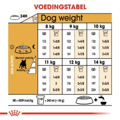 Royal Canin French Bulldog Adult 1,5kg -Hondenbenodigdheden Korting a7f8f9529a396c81205e597ffded815f63cd0d5c72f37a5880ce4e4f31cb39cd