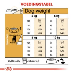 Royal Canin Jack Russell Adult - Hondenvoer - 3kg 7 Royal Canin Jack Russell Adult - Hondenvoer - 3kg -Hondenbenodigdheden Korting ad90d20e8be659a05b8d6ea3d9c84a4959dbd6443649feb4970eb79fc6868336 1