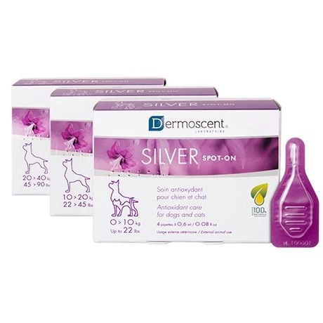 Dermoscent Silver Spot On Cat/dog 1-10kg 4pip
