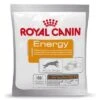 Royal Canin Energy Booster Voor Honden 30x 50g -Hondenbenodigdheden Korting b0695639df41f00ced752bcc0857e6e4dc877f8cf53b61640655b380cfcc0687