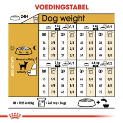 Royal Canin Chihuahua Adult - Hondenvoer - 3kg -Hondenbenodigdheden Korting d9fccb02577dea1c54565e85f65d954ab2804286ca97d418502dc77ce25b54e9 1