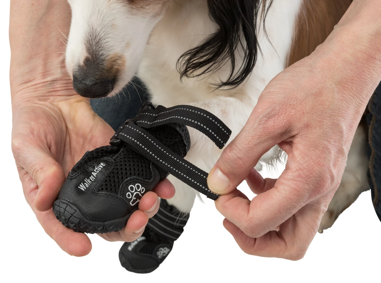 Trixie Pootbescherming Walker Active Xl 2st. 8 Trixie Pootbescherming Walker Active Xl 2st. - Afbeelding 6