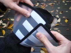 Flamingo Beschermkraag Capo 31,5cm -Hondenbenodigdheden Korting e2578f0de7dfac1a438fa05f0c616aa46fff5514395f242304922963edc56053