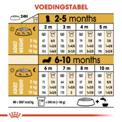 Royal Canin Dachshund Puppy Hond 1,5kg -Hondenbenodigdheden Korting f5227efde3836cc62c58c79aa27438fad62c9124a43944e92dd5b899de0b7377 1