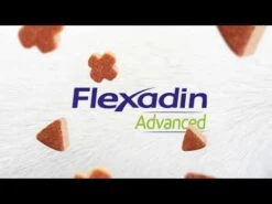 Flexadin Advanced Original 60 Chews -Hondenbenodigdheden Korting hqdefault 10 2
