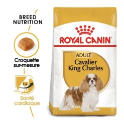 Royal Canin Cavalier King Charles Adult - Hondenvoer - 7,5 Kg -Hondenbenodigdheden Korting royal canin cavalier king charles adult cavalier king charles 1