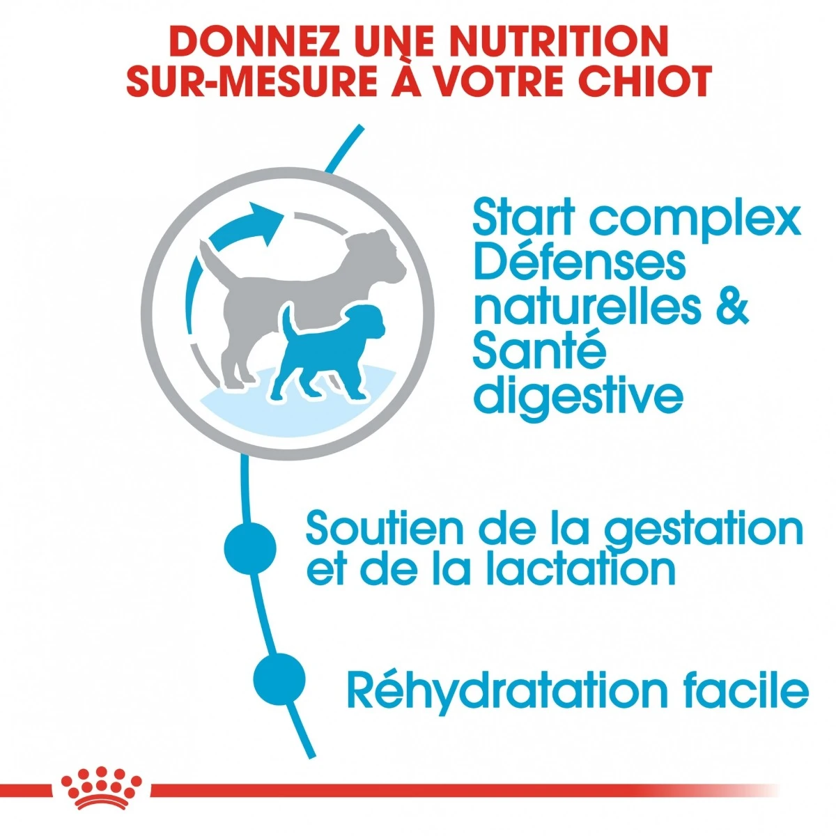 Royal Canin Mini Starter Mother & Babydog 8kg 7 Royal Canin Mini Starter Mother & Babydog 8kg - Afbeelding 5