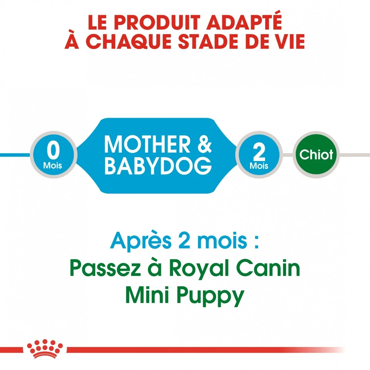 Royal Canin Mini Starter Mother & Babydog 8kg 8 Royal Canin Mini Starter Mother & Babydog 8kg - Afbeelding 6